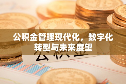 虹口公积金管理现代化，数字化转型与未来展望