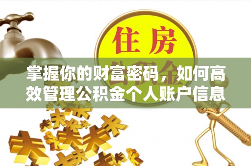 虹口掌握你的财富密码，如何高效管理公积金个人账户信息
