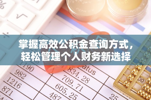 虹口掌握高效公积金查询方式，轻松管理个人财务新选择