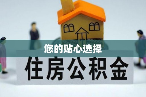 虹口您的贴心选择